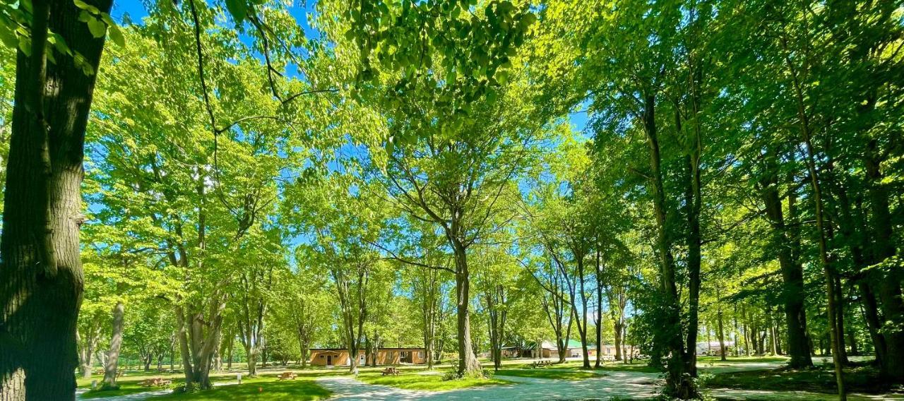 Apartamento Camping Bomont entre l’érablière et l’écorce Henryville Exterior foto