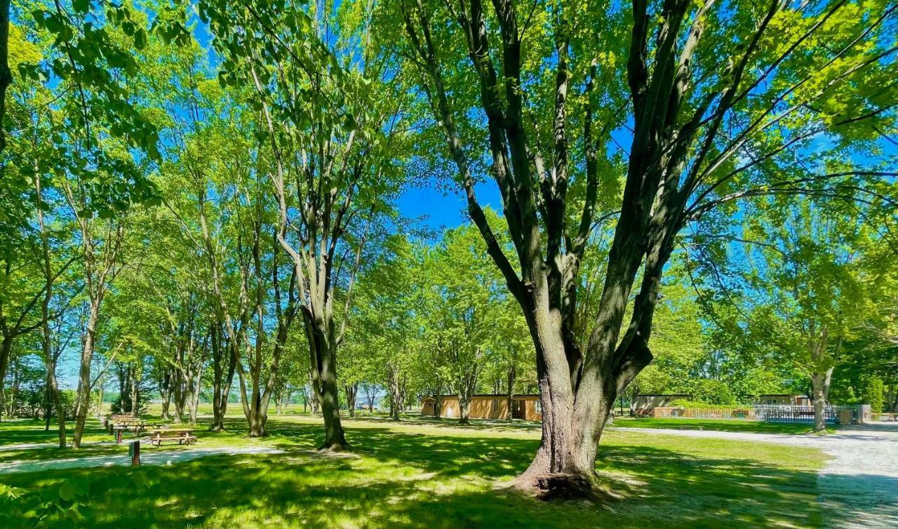 Apartamento Camping Bomont entre l’érablière et l’écorce Henryville Exterior foto